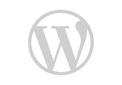 wordpress-2